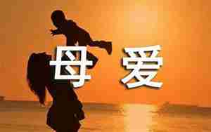 描写母爱的句子抒情