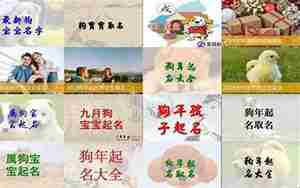 狗宝宝生辰八字取名
