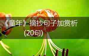 童年小说经典句子赏析