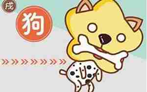 狗年2018运势