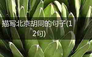 描写北京胡同样子句子