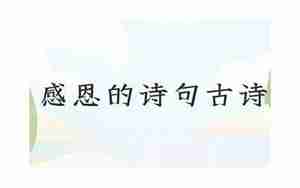 感恩的句子感谢的诗词