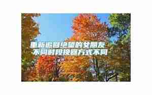 重新追回女朋友的话