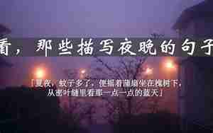 描写晴朗夜晚的散文句子