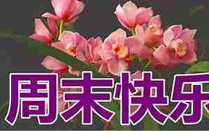 如何形容开心的周末的句子