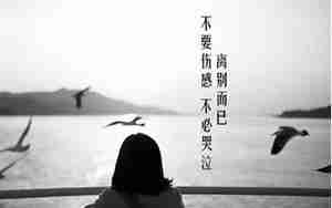 如何忘掉所有的感情