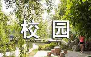描写校园树木的句子200字