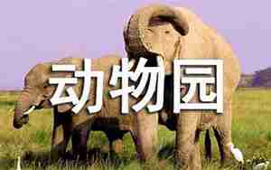 游野生动物园经典句子