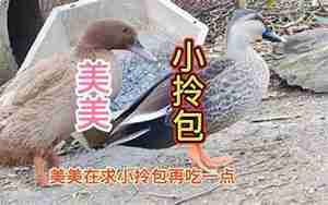 老公受伤了但没事句子