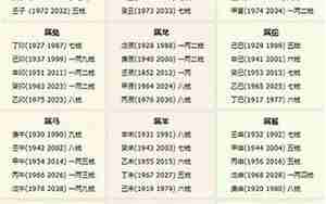 鼠年八字几斤