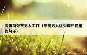 夸男人创业的句子