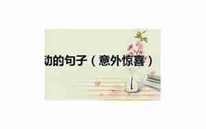 想要意外惊喜的句子