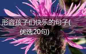 形容孩子们礼服漂亮的句子