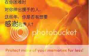对没心没废的人句子