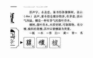 檀姓男孩起名