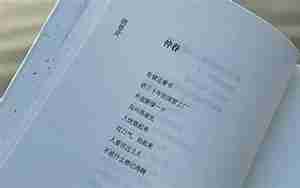 表示青春逝去不后悔的句子