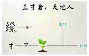 男人三才是什么