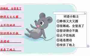 描写写苍鼠吃食的句子