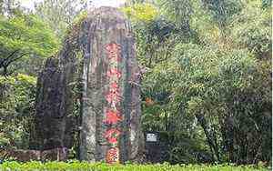 除日是吉日还是凶日适合求财吗(除日是吉日还是凶日)