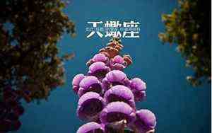 德字五行属什么(得字五行属什么)