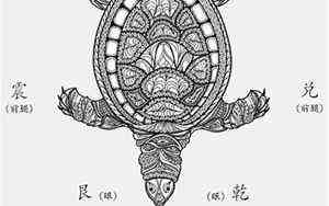 淡的成语大全四个字(淡的成语)