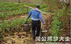 朱衣点头是什么意思(朱衣点头)