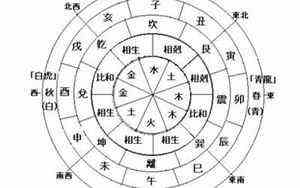 属马的年龄表一览表(属马的年龄)