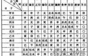属兔女人最佳丈夫(1999年属兔女婚配表)