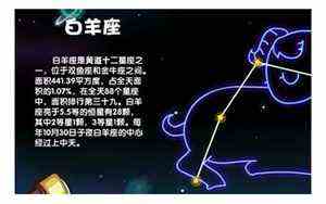 佛手寓意和象征意义区别(佛手寓意)