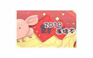 关相龙(关相)
