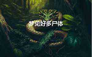 属蛇人2022年全年运势1977年生(属蛇1977年2022年运势及运程)