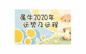 梦到鞋子是什么征兆(梦到鞋子)
