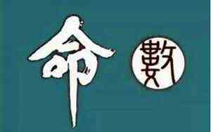 春什么结构什么部首(春什么结构)