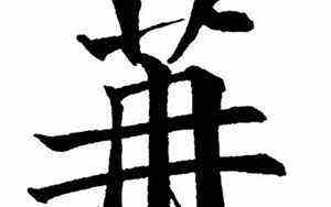 阴宅风水学入门图解大全100例(阴宅风水)
