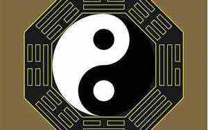 1996年到底属什么生肖(1996年到底属什么)