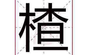痴心一片是什么意思(痴心一片)