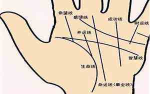 做梦梦到蛇咬自己是什么征兆(做梦梦到蛇咬自己)