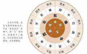 丙辰年五行属什么(丙辰年)