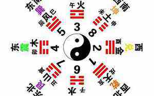梦见被小狗追着咬什么预兆(梦见被小狗追着咬)
