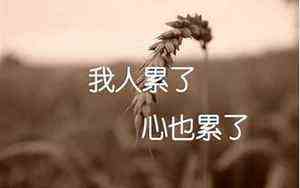 嘉几画多少笔(嘉几画)