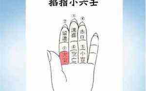 祖巫帝江图片(祖巫帝江)