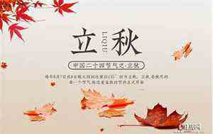 新华字典在线查字部首(新华字典在线查)