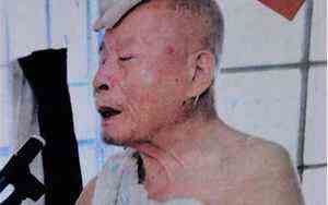 江疏影哪里人 出生地(江疏影哪里人)