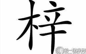 向天飞行电视剧免费观看全集(向天飞)