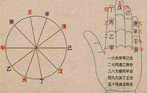 窦凤琴老公简介(窦凤琴)