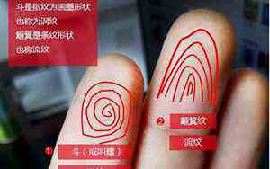 225是什么意思爱情(225是什么意思)