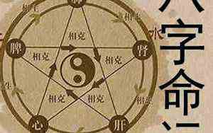 今天什么年属什么生肖2023(今天什么年)
