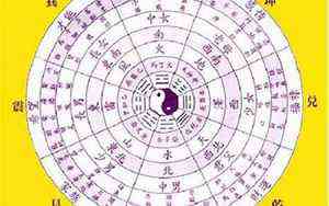 适合卧室养的花主卧 空气净化(适合卧室养的花)