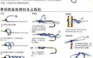 流月枭官是什么意思(流月是什么意思)