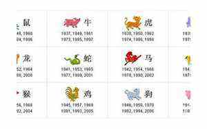 星座性格分析大全精确(星座性格)